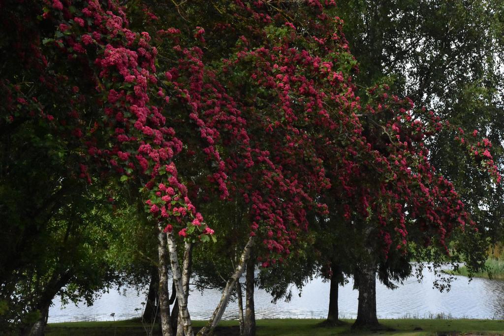 Ilmatsalu Motell Экстерьер фото