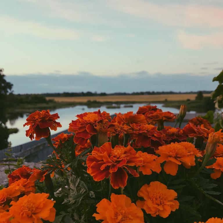 Ilmatsalu Motell Экстерьер фото